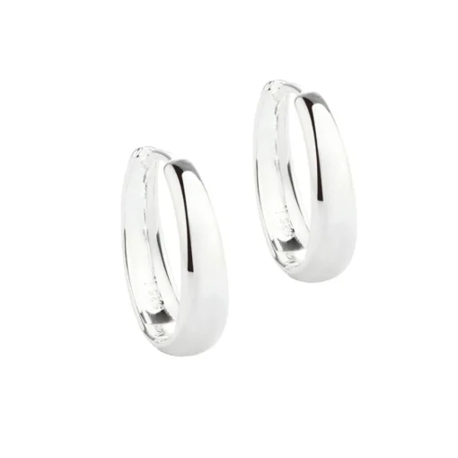 Aqua Dulce Big Emma Hoop Sølv - 5534