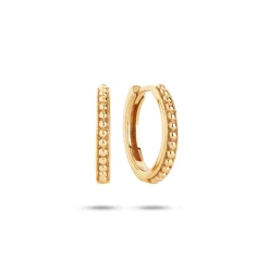 Carré Hoops Forgyldt 15mm - FH4302