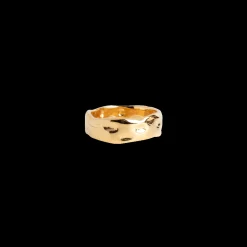 Enamel Sandra Forgyldt Ring - R91G